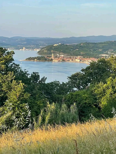 Others 3, Vanilla, Izola