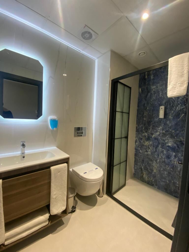 Bathroom 5, THE OMIYA, Fatih