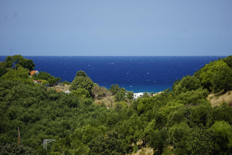 Others 4, Gelbes Haus Korfu, Ionian Islands