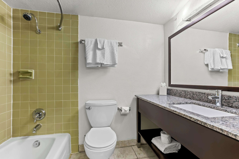 Bathroom 4, Best Western Downtown Casper Hotel, Natrona