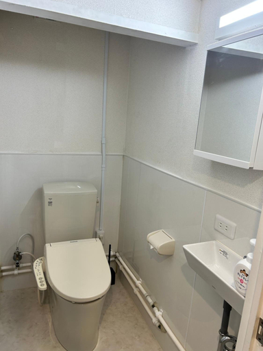 Bathroom 3, Riverside Omori, Ōta