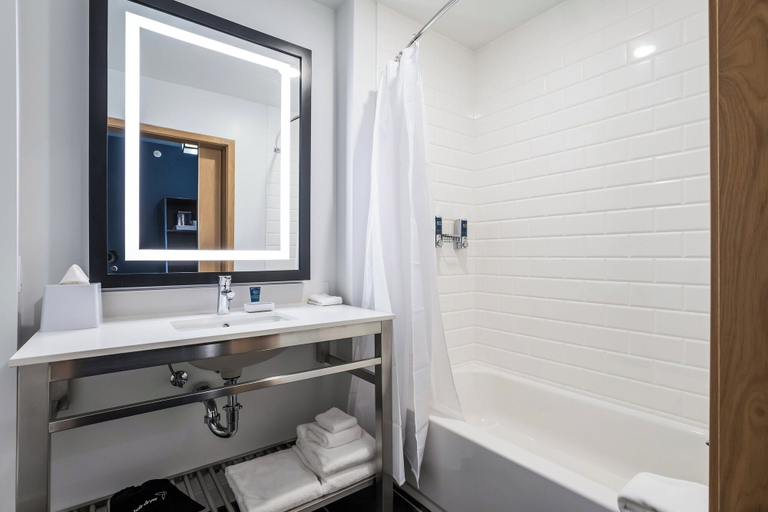 Bathroom 4, Four Points by Sheraton Elkhart, Elkhart