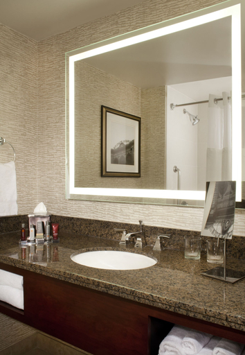 Bathroom 4, Marriott Denver Airport at Gateway Park, Denver