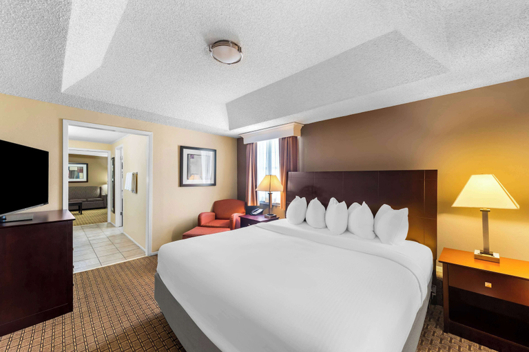 Bedroom 3, Best Western Markita Inn, Bryan