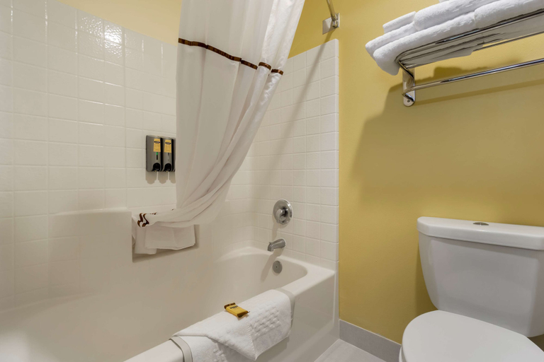 Bathroom 4, Best Western Plus Park Place Inn & Suites, Lewis