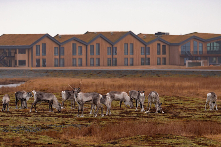 Exterior & Views 2, Hótel Jokulsarlon - Glacier Lagoon Hotel, Sveitarfélagið Hornafjörður