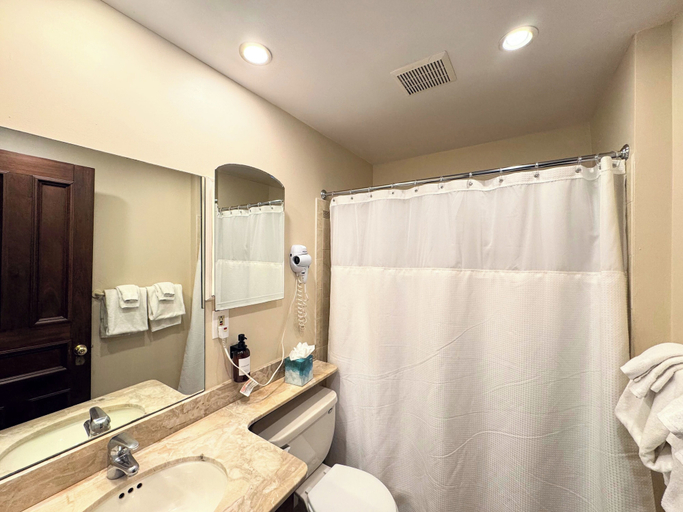 Bathroom 4, Copley House, Boston