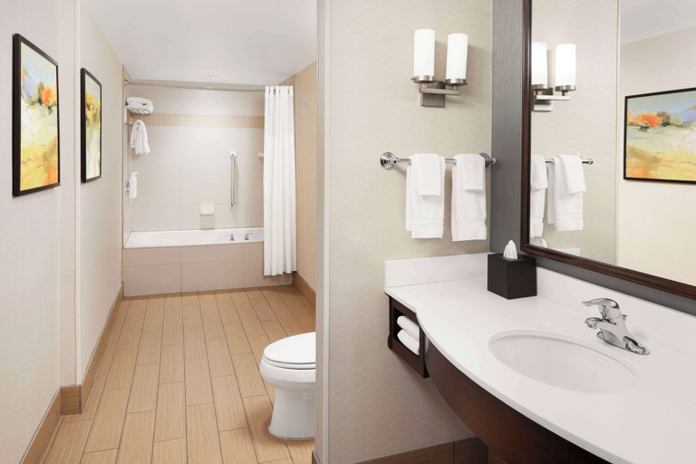 Bathroom 4, Hilton Garden Inn Ogden UT, Weber
