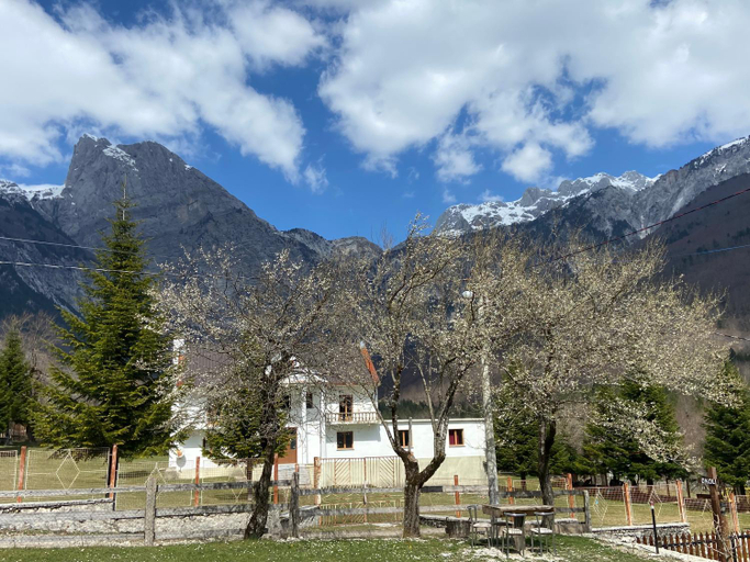 Others 5, Villa KRONI, Shkodrës