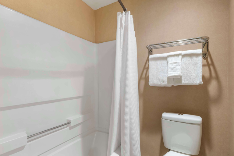 Bathroom 4, Best Western Plus Landing View Inn & Suites, Taney