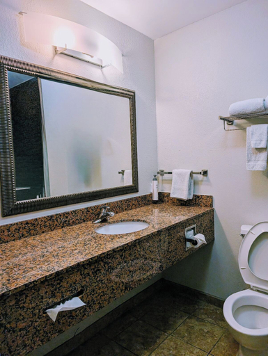 Bathroom 4, Sonesta Essential Columbus, Muscogee