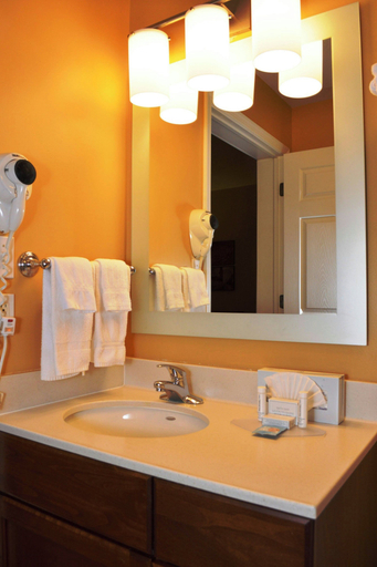 Bathroom 4, TownePlace Suites by Marriott Quantico Stafford, Stafford