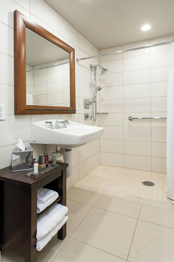 Bathroom 5, Rochester Airport Marriott, Monroe