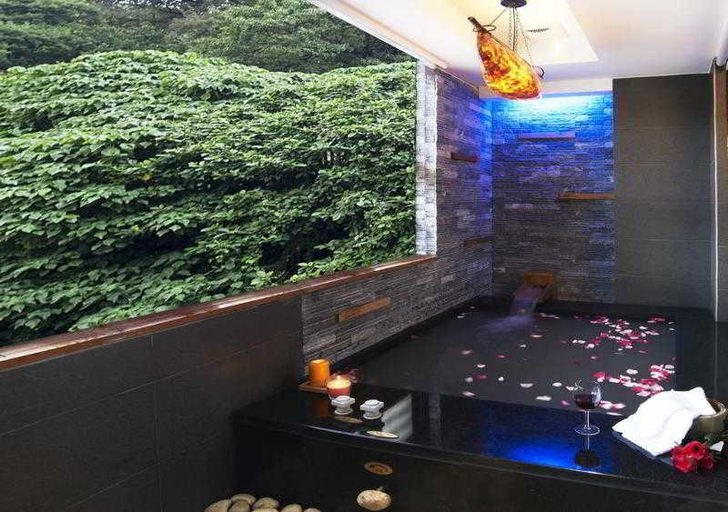 Bathroom 4, Golden Hot Spring Hotel, Taipei City