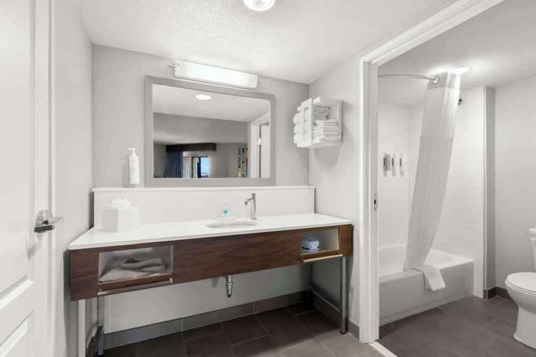 Bathroom 4, Hampton Inn & Suites Phoenix/Gilbert, Maricopa