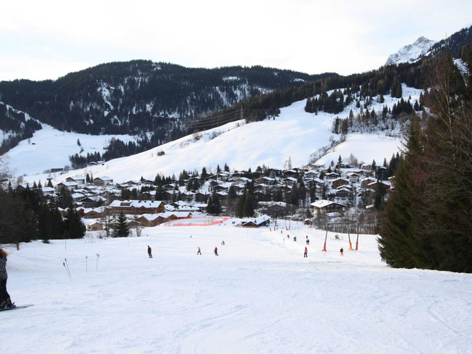 Others 5, Spacious Apartment near Ski Area in Salzburg, Zell am See