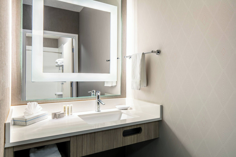 Bathroom, Springhill Suites by Marriott Tulsa, Tulsa