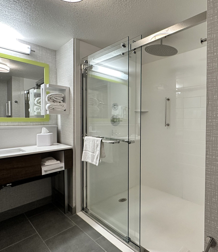 Bathroom 4, Hampton Inn & Suites Lathrop, San Joaquin