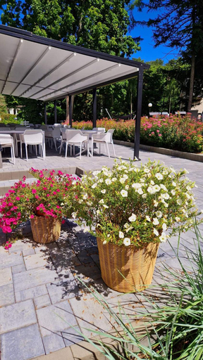 Others 2, Resort Moderna Jastrzebia Gora, Puck