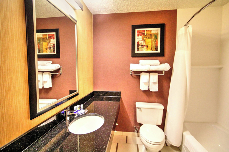 Bathroom 3, Fairfield Inn By Marriott Boise, Ada