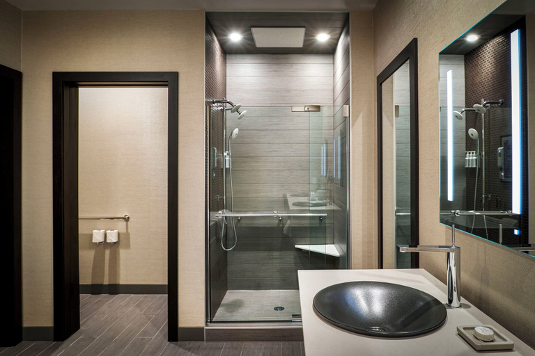 Bathroom 5, Lodge Kohler, Brown