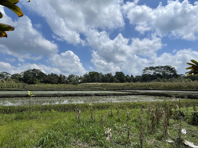 Scenery 6