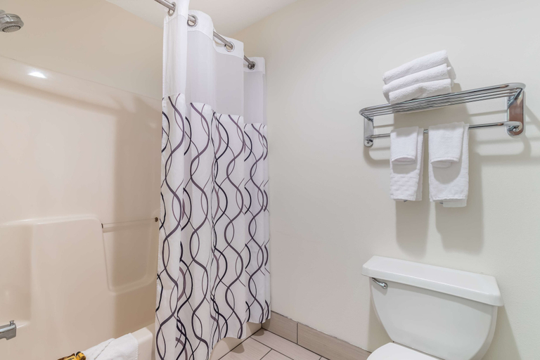 Bathroom 4, Best Western Plus University Park Inn & Suites, Story