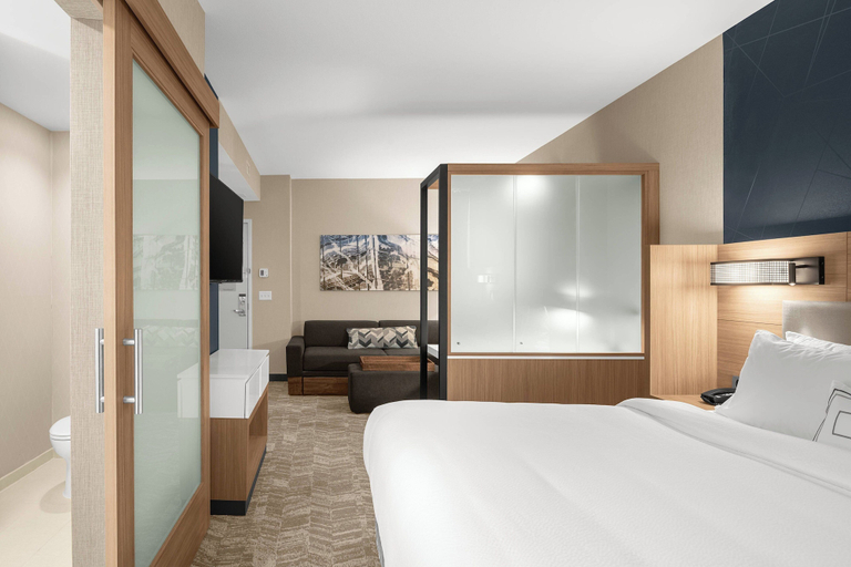 Bedroom 3, SpringHill Suites by Marriott Jackson, Madison
