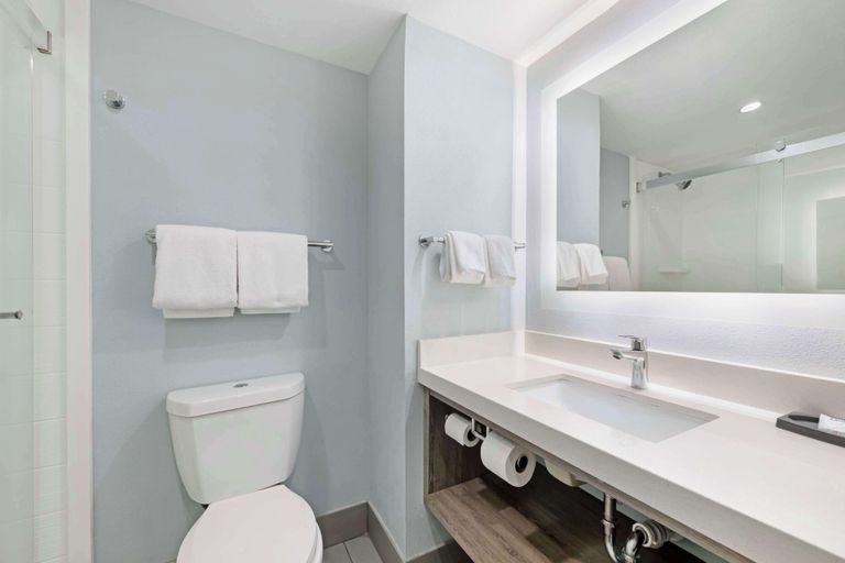 Bathroom 4, Best Western Oceanfront, Duval