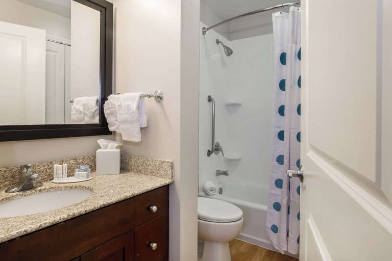 Bathroom 3, TownePlace Suites by Marriott Boise Downtown/University, Ada