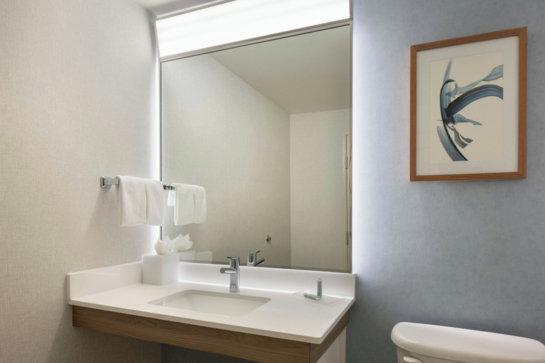 Bathroom 3, Courtyard by Marriott Sandestin at Grand Boulevard, Walton
