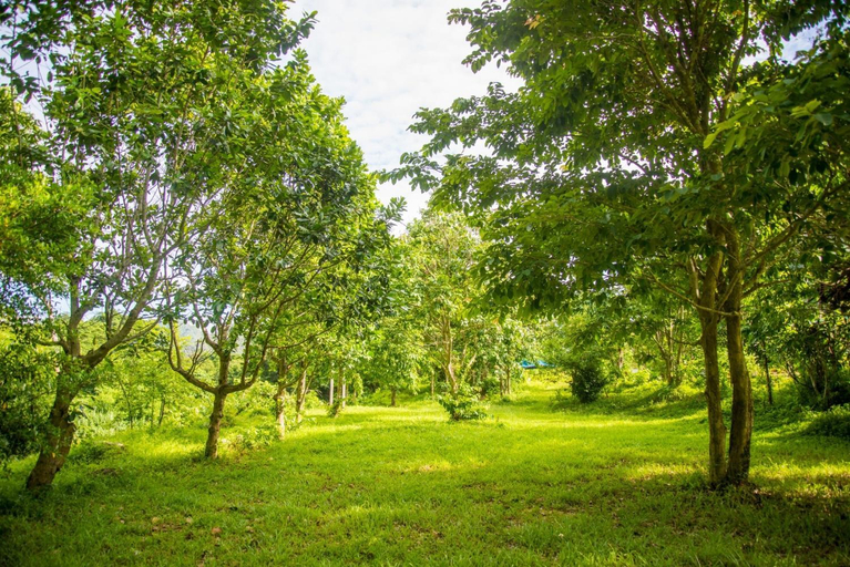 Scenery 3