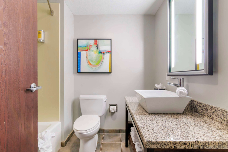 Bathroom 4, Best Western Plus Olathe Hotel, Kansas City