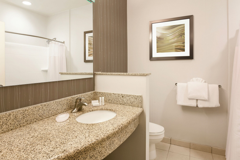 Bathroom 4, Courtyard by Marriott Dallas Arlington South, Arlington