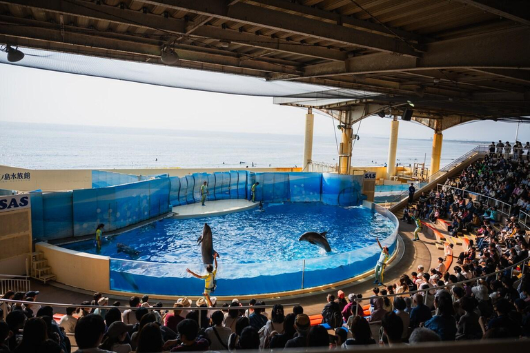 Sport & Beauty 4, Enoshima Kamakura/close to beach, station/freeWiFi, Fujisawa