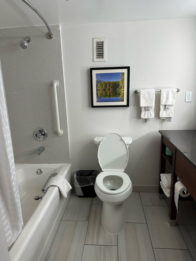 Bathroom 5, Comfort Inn Conyers, Rockdale