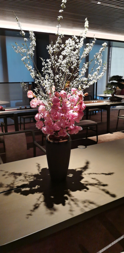 Food & Drinks 4, Joya Hotel Hangzhou Qianjiang New Town, Hangzhou
