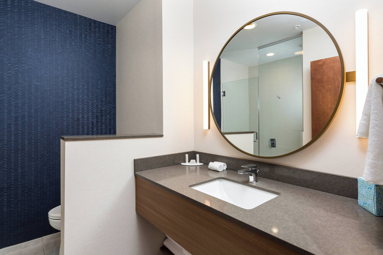 Bathroom 5, Fairfield Inn & Suites by Marriott Crestview, Okaloosa