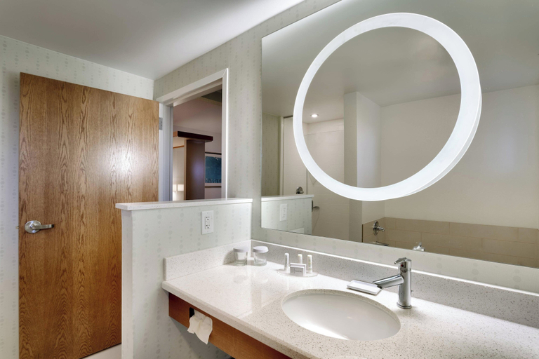 Bathroom 5, SpringHill Suites by Marriott Rexburg, Madison