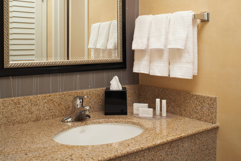 Bathroom 5, Courtyard by Marriott Detroit Warren, Macomb