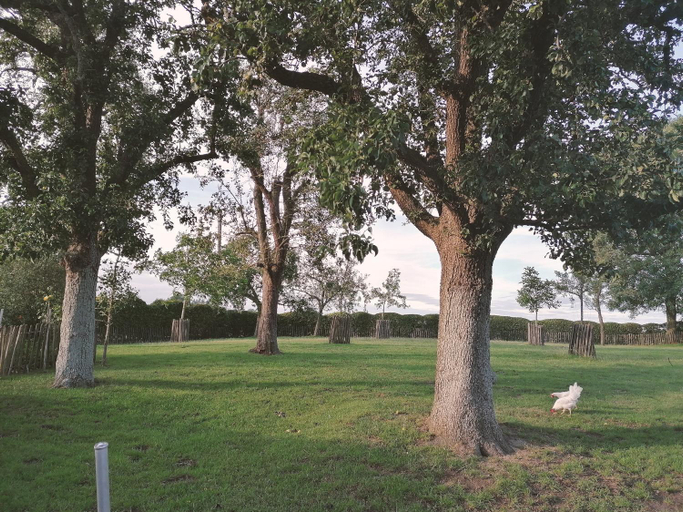 Others 3, Het Meikenshof, West-Vlaanderen