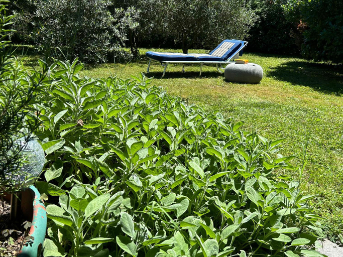Others 4, GOLDEN HILL Quiet Spacious Rooms, Garden, Shared Kitchen, Lugano