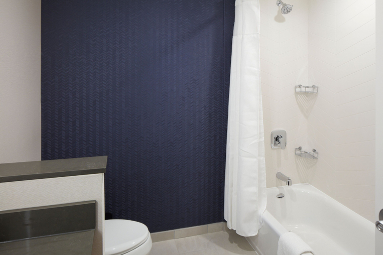 Bathroom 5, Fairfield Inn & Suites Seneca Clemson Univ Area, Oconee