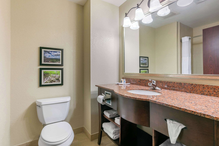Bathroom 3, Comfort Suites Forrest City, Saint Francis