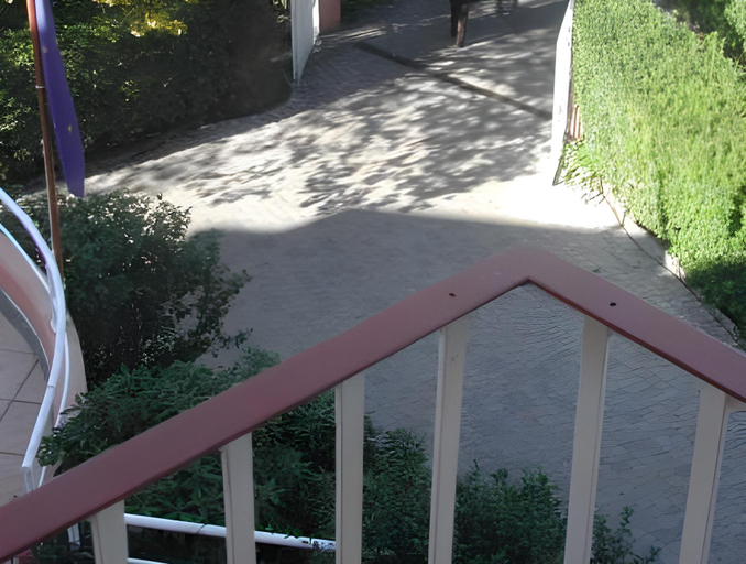 Scenery 29