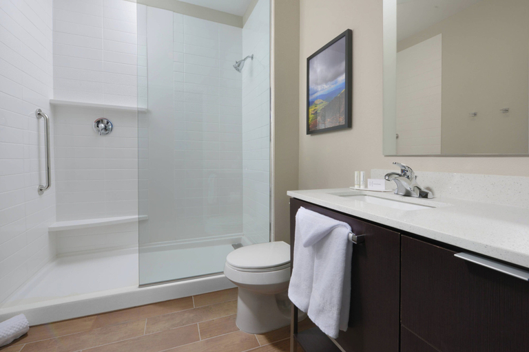 Bathroom 4, TownePlace Suites by Marriott Denver South/Lone Tree, Douglas