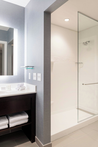 Bathroom 4, Residence Inn Chicago Downtown/Loop, Cook