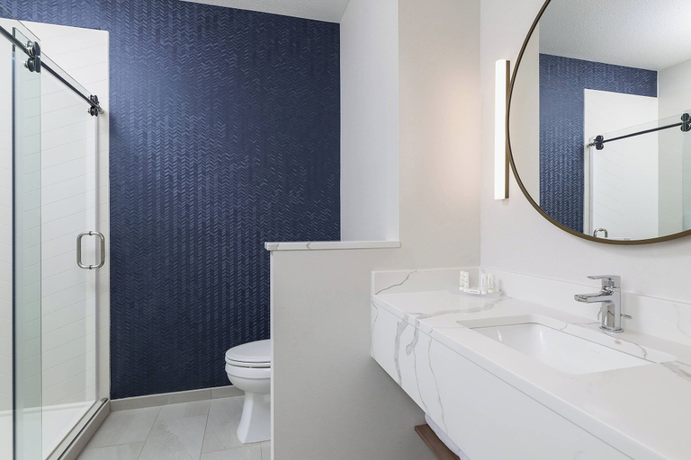 Bathroom 5, Fairfield Inn & Suites by Marriott Minneapolis North/Blaine, Anoka