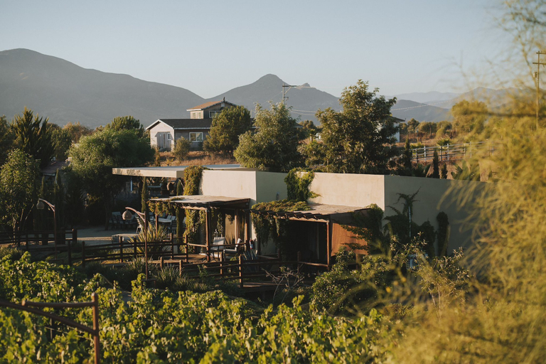 Luna del Valle, Ensenada