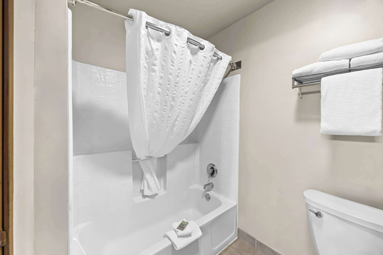 Bathroom 4, Best Western Inn at the Rogue, Jackson